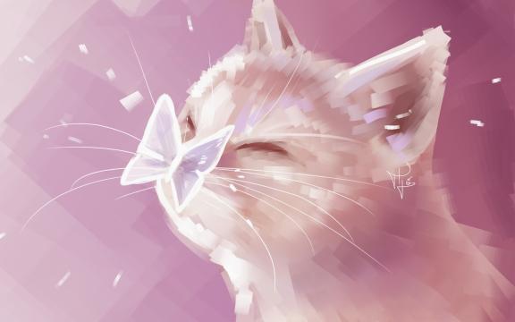 清新治愈的猫咪插画