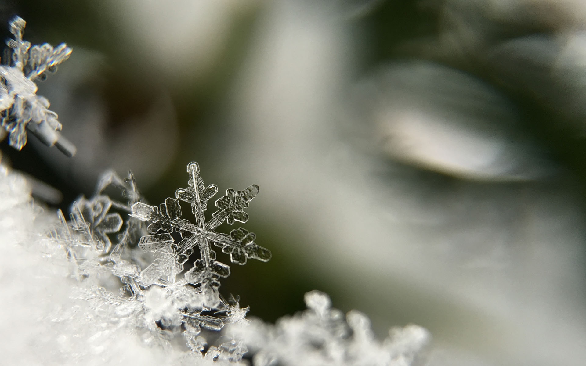 冬日里唯美的雪花风景