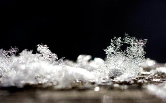 冬日里唯美的雪花风景