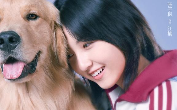 爱情喜剧电影《宠爱》