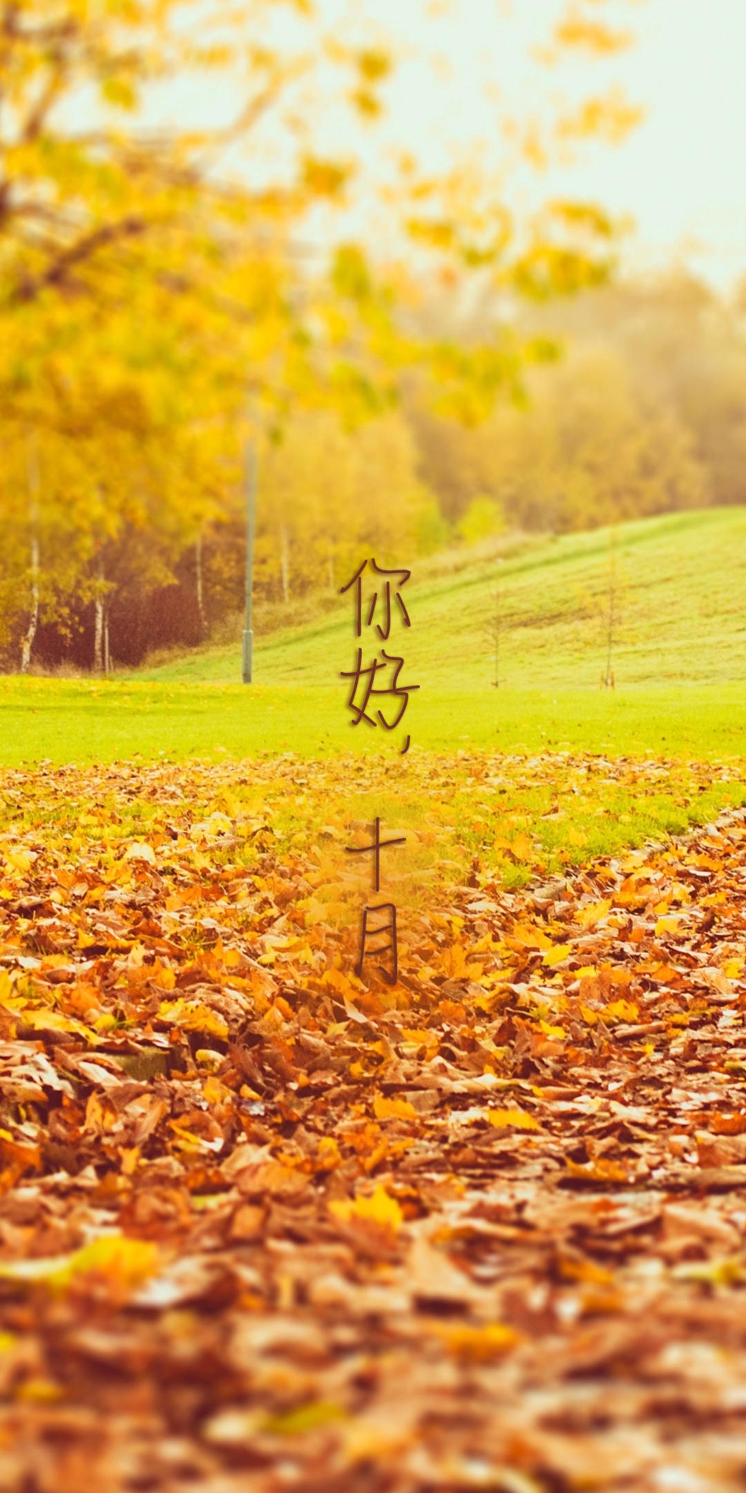你好,金秋十月