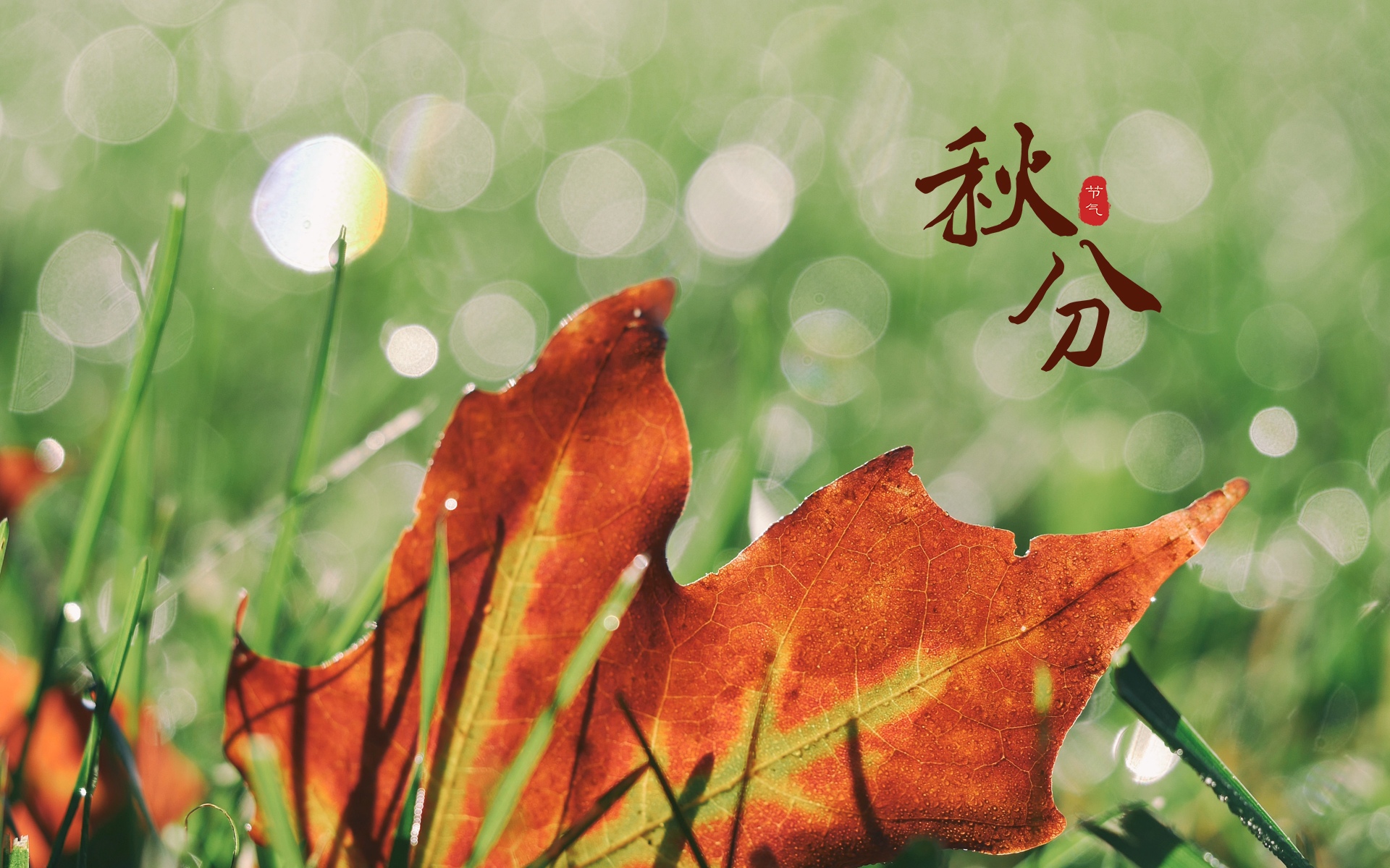 秋分送走一丝微凉