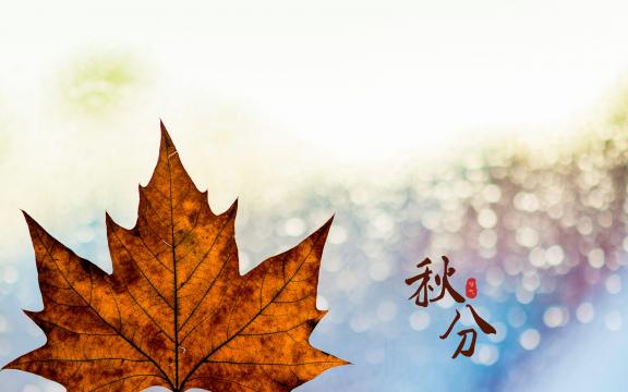 秋分送走一丝微凉