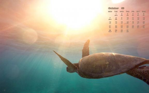 2019年10月海底世界风光日历