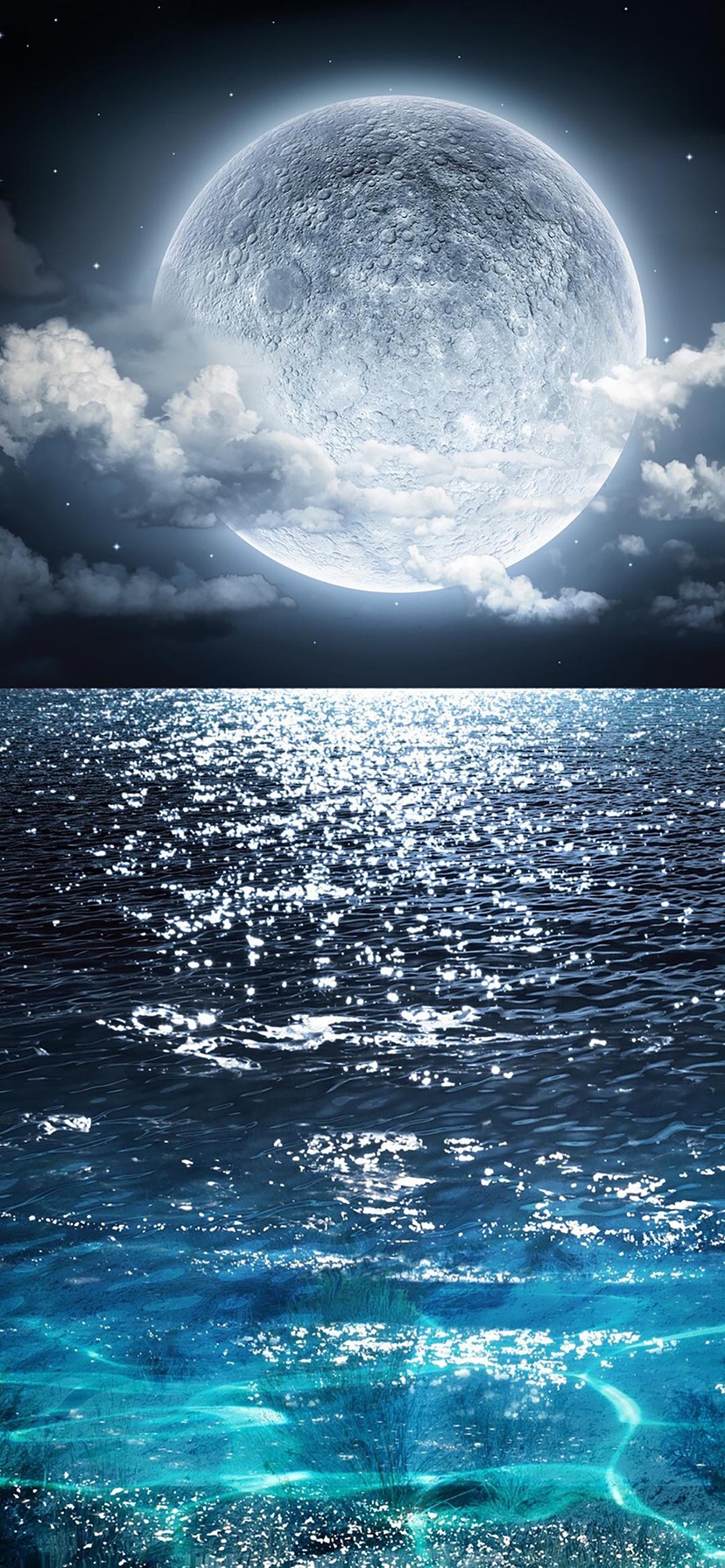 独赏海上生明月