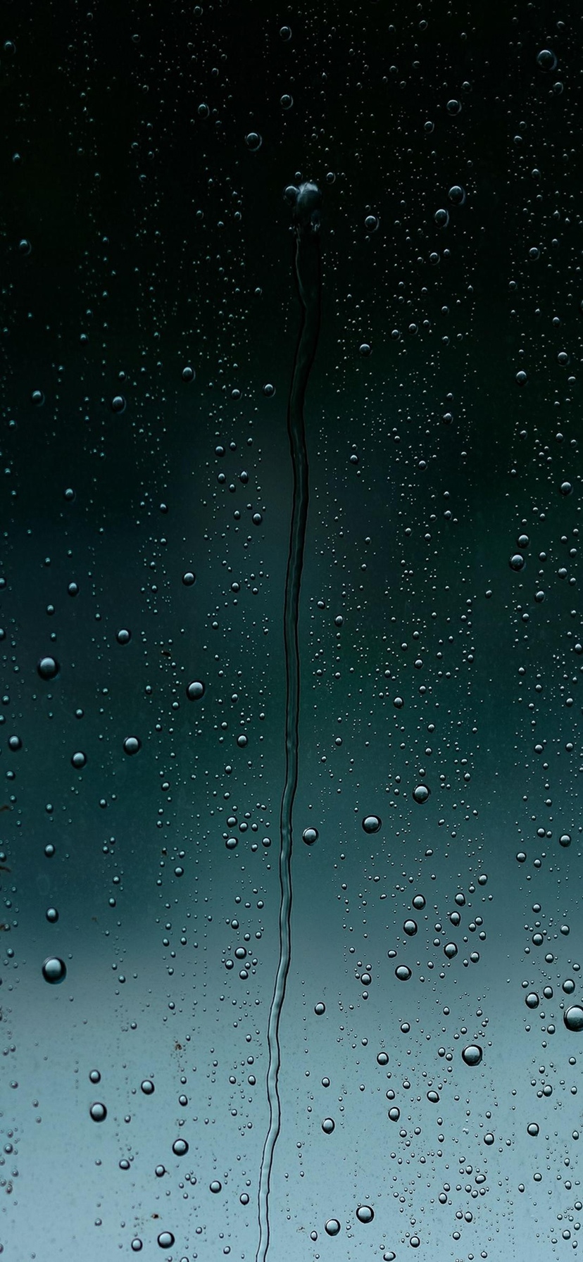 雨敲打着窗