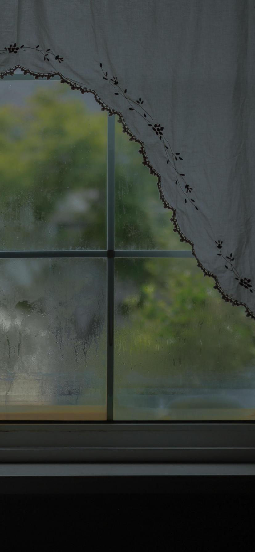 静静看着窗外的雨