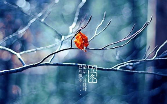 中国传统节气之立冬
