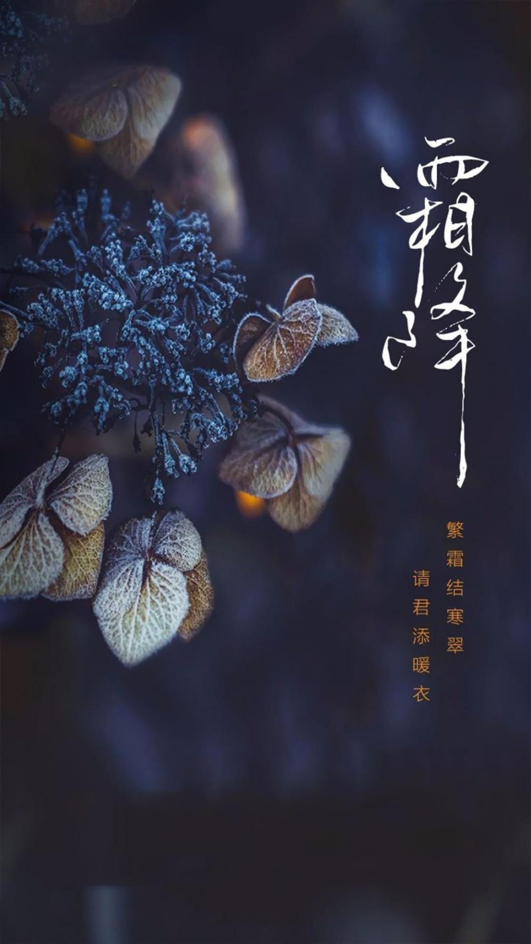霜降唯美风光