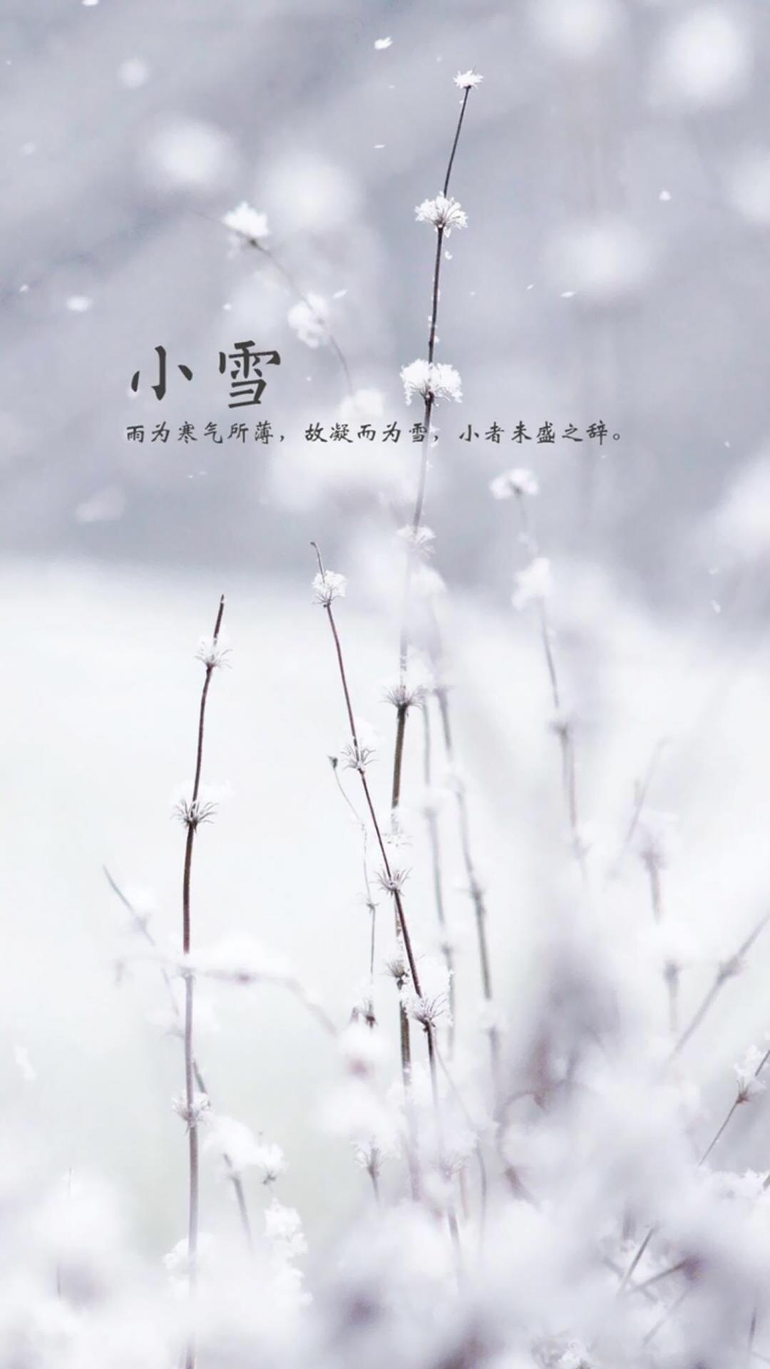 小雪到 冬来到
