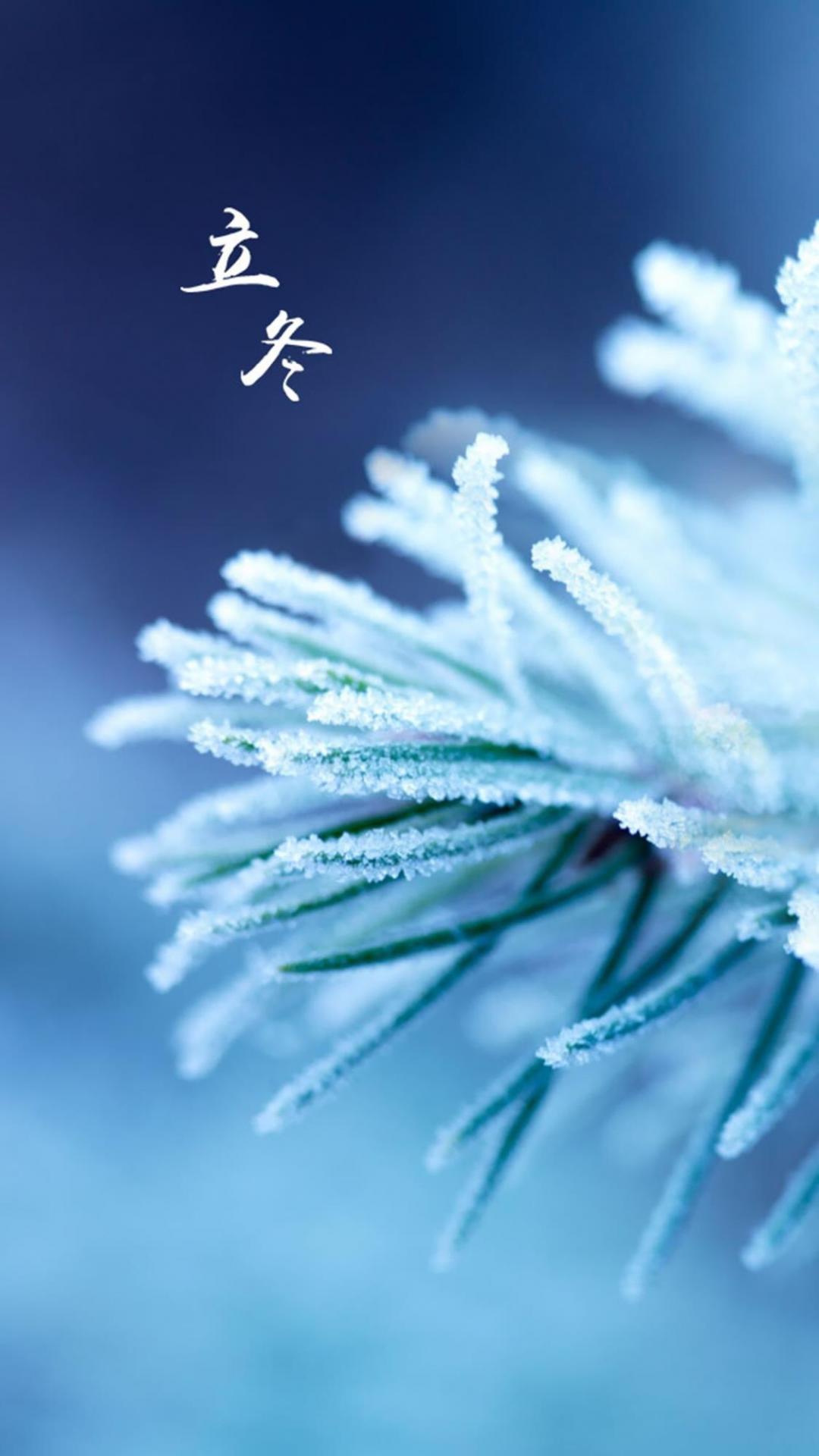 立冬快乐