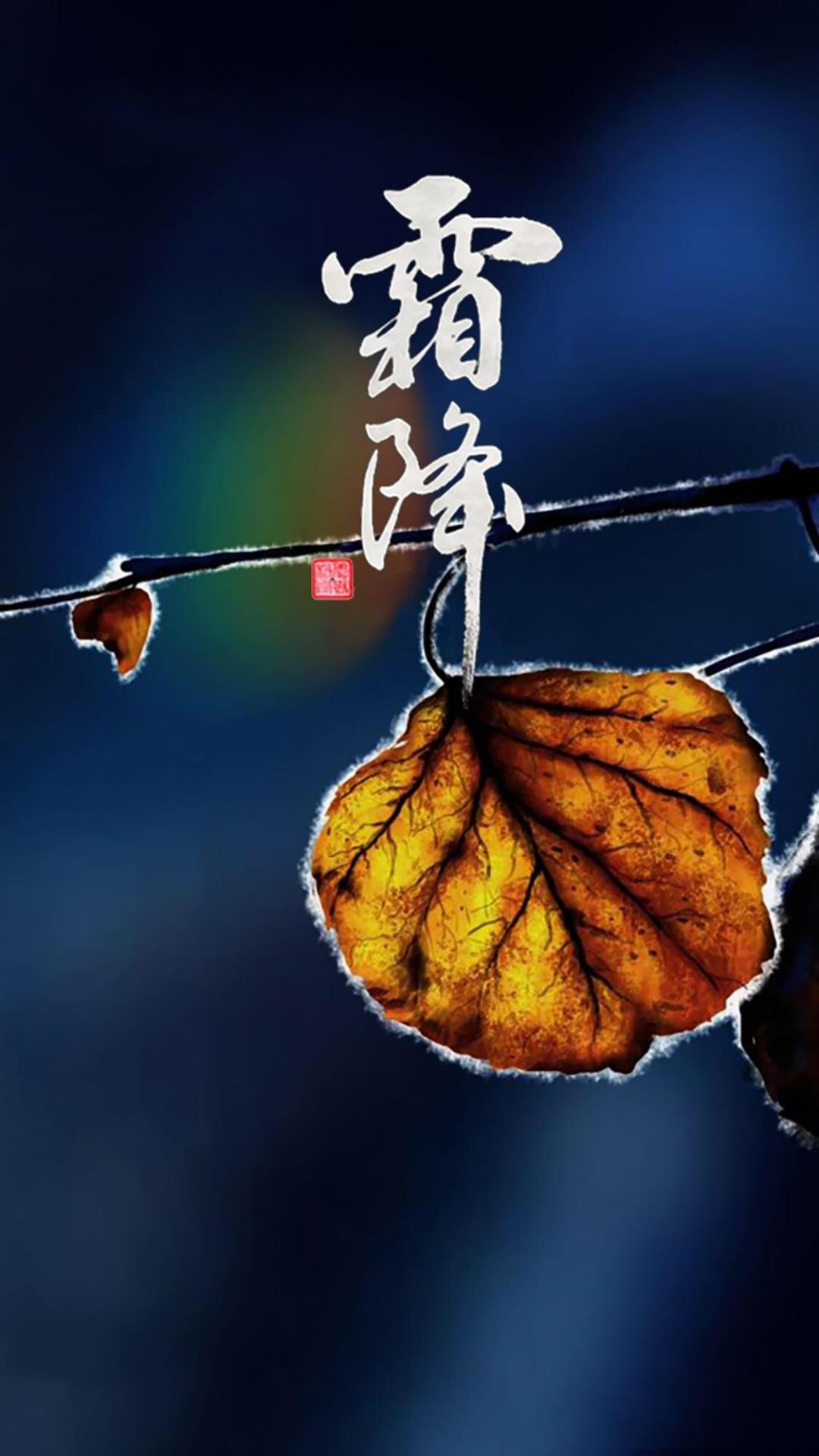 霜降时节的树叶