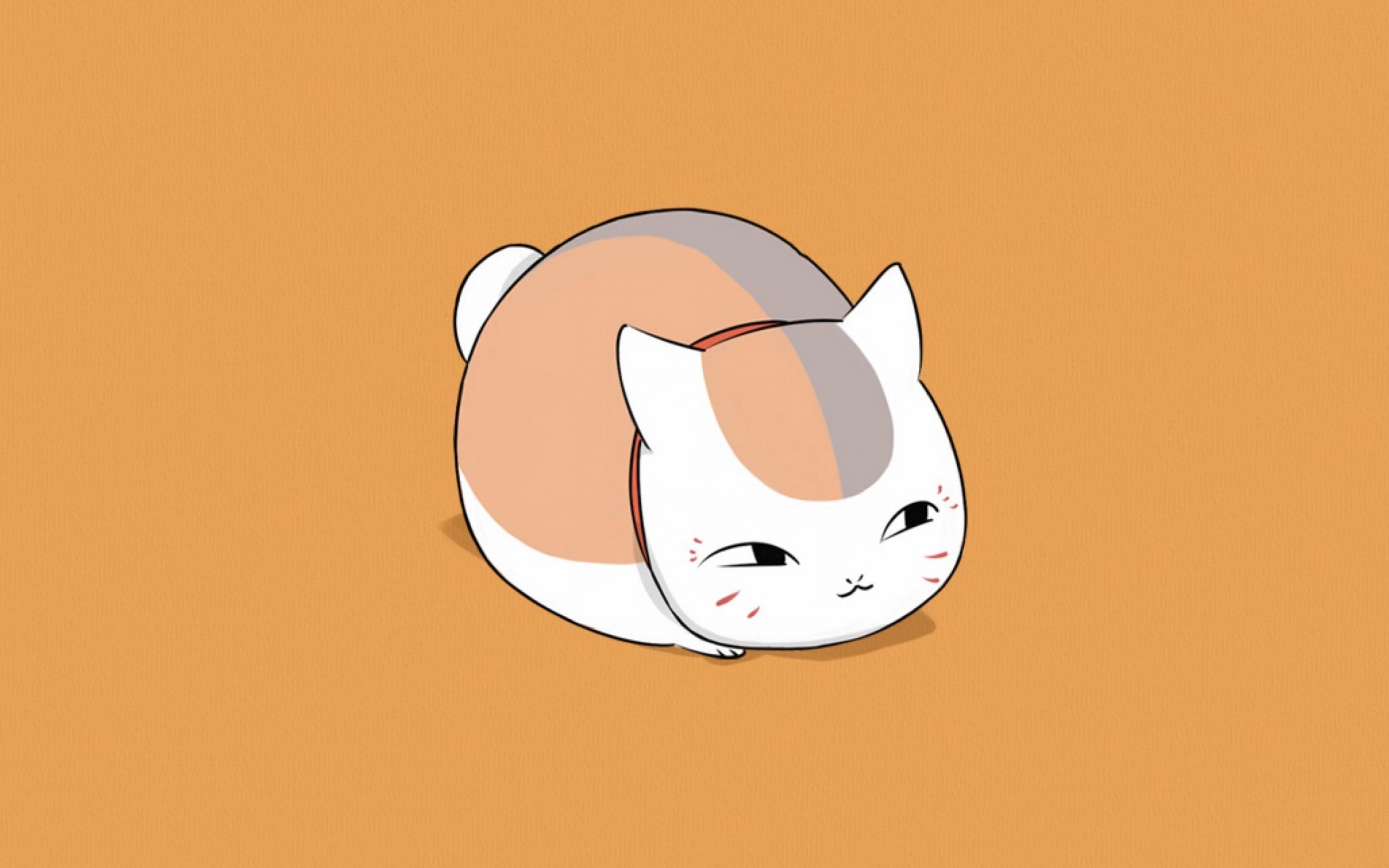 《夏目友人帐》之超可爱的猫咪老师
