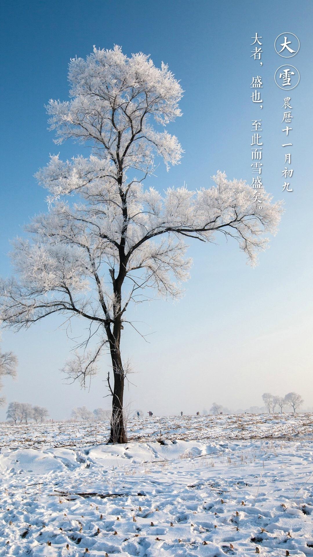 二十四节气大雪已到