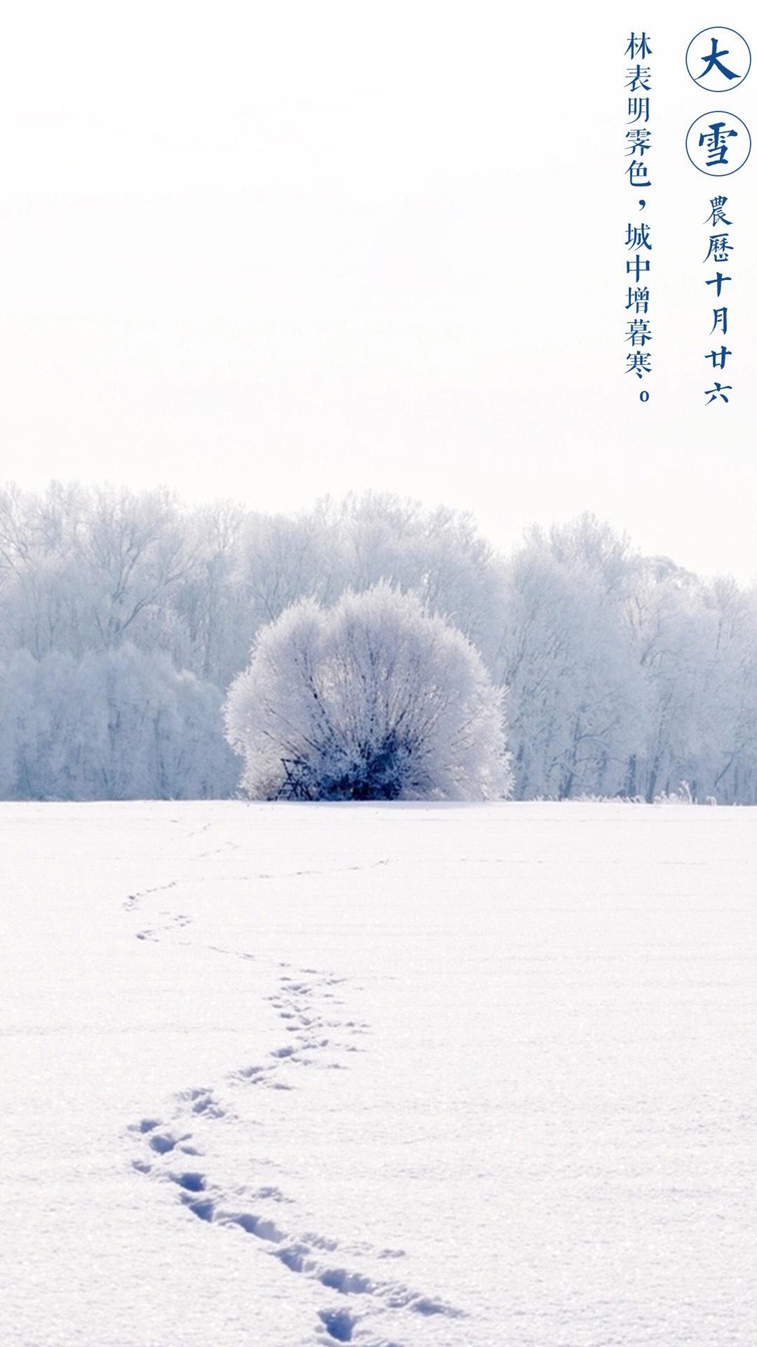 大雪节气万里白