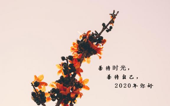 再见2019年,迎接2020年
