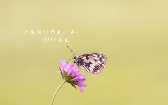 再见2019年,迎接2020年