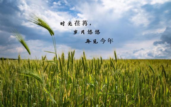 今年再见,明年你好