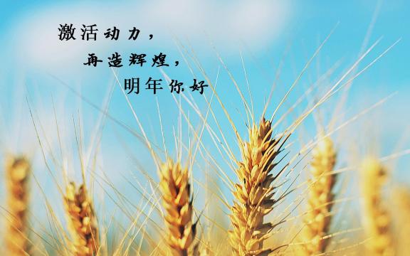 今年再见,明年你好