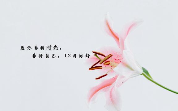 十一月再见,迎接十二月