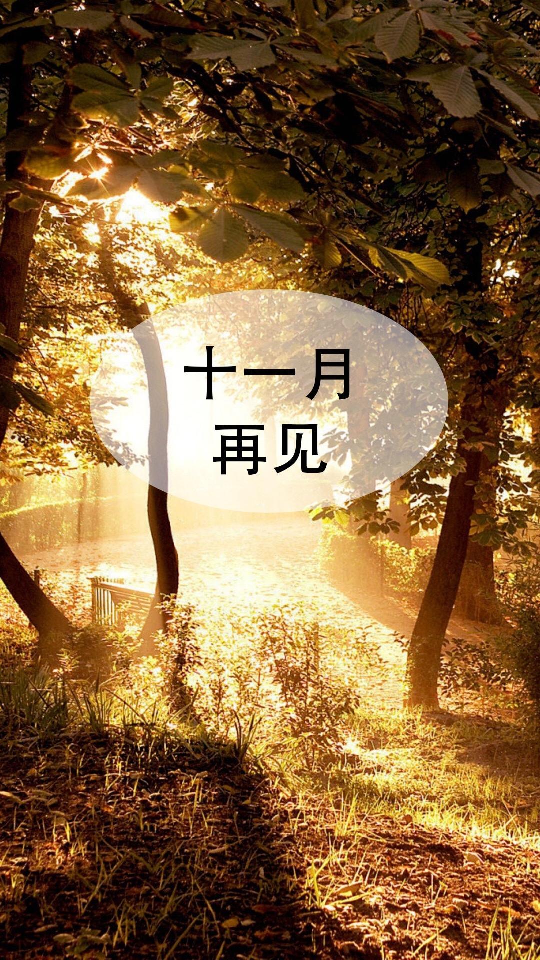 十一月告别了