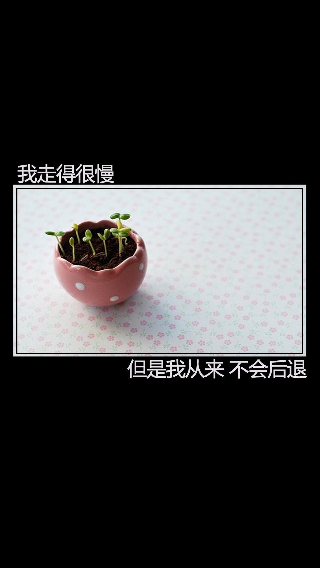 正能量带字说说配图