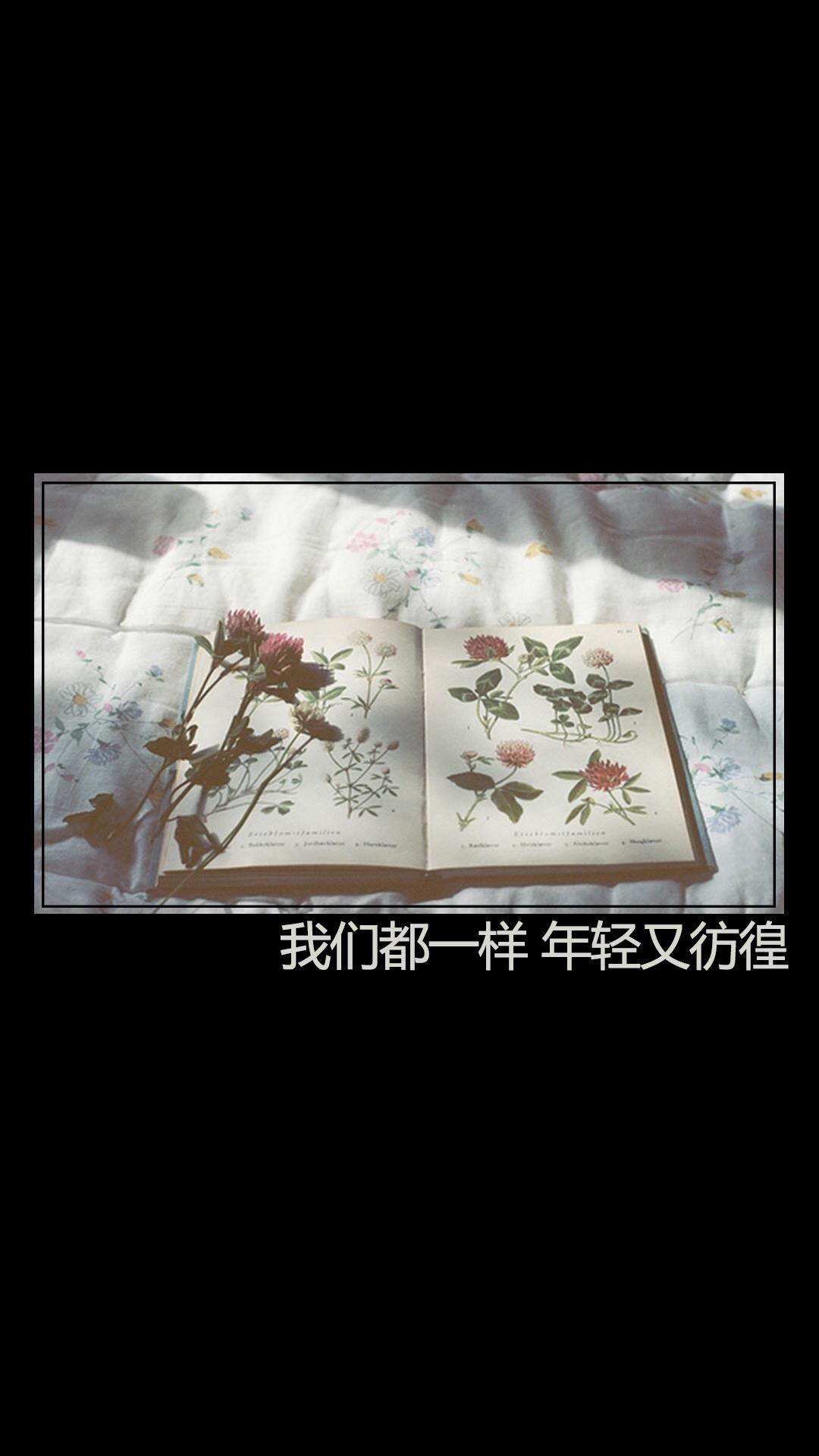 励志文字说说