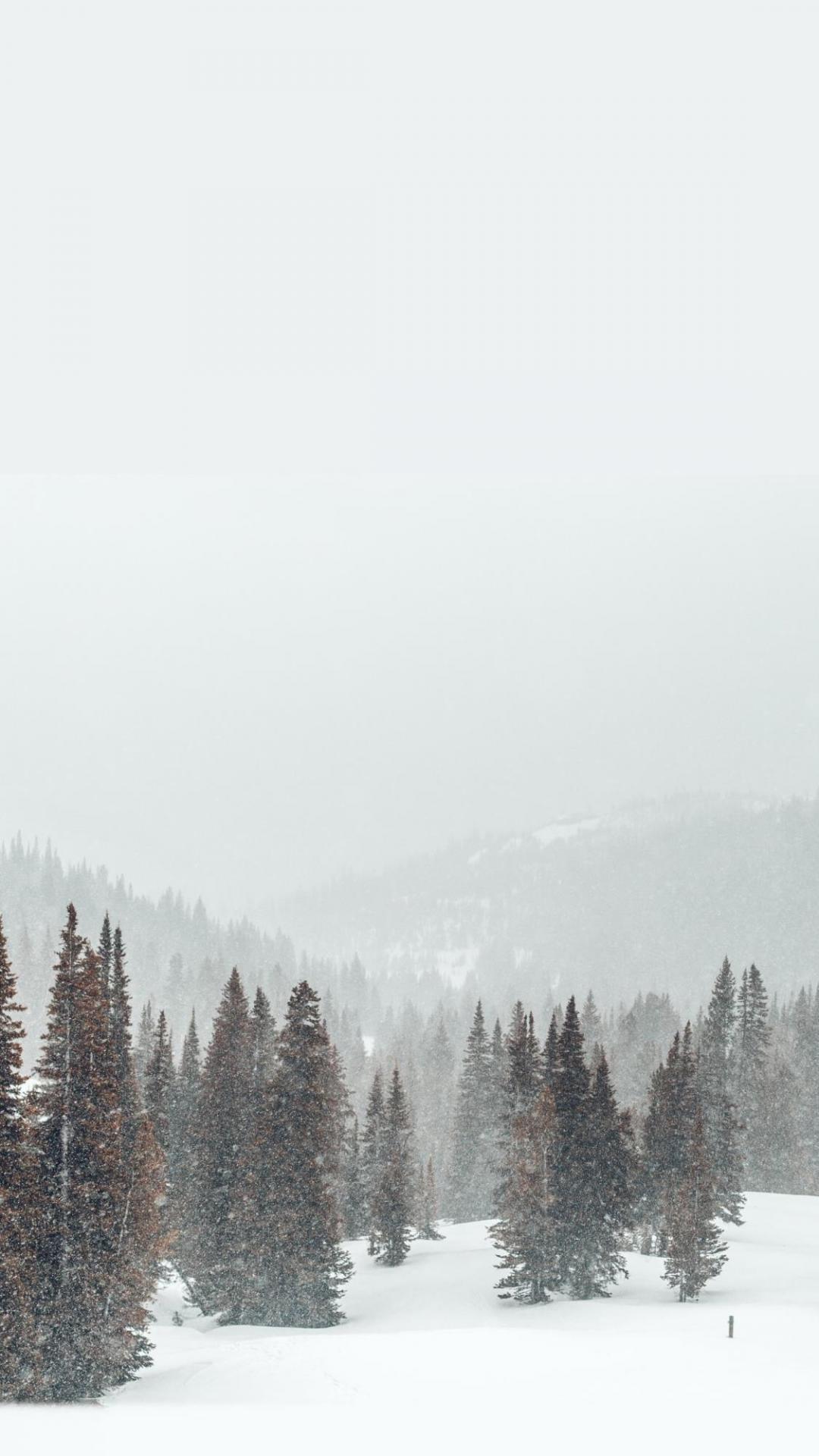 冬季里大自然的雪景风光