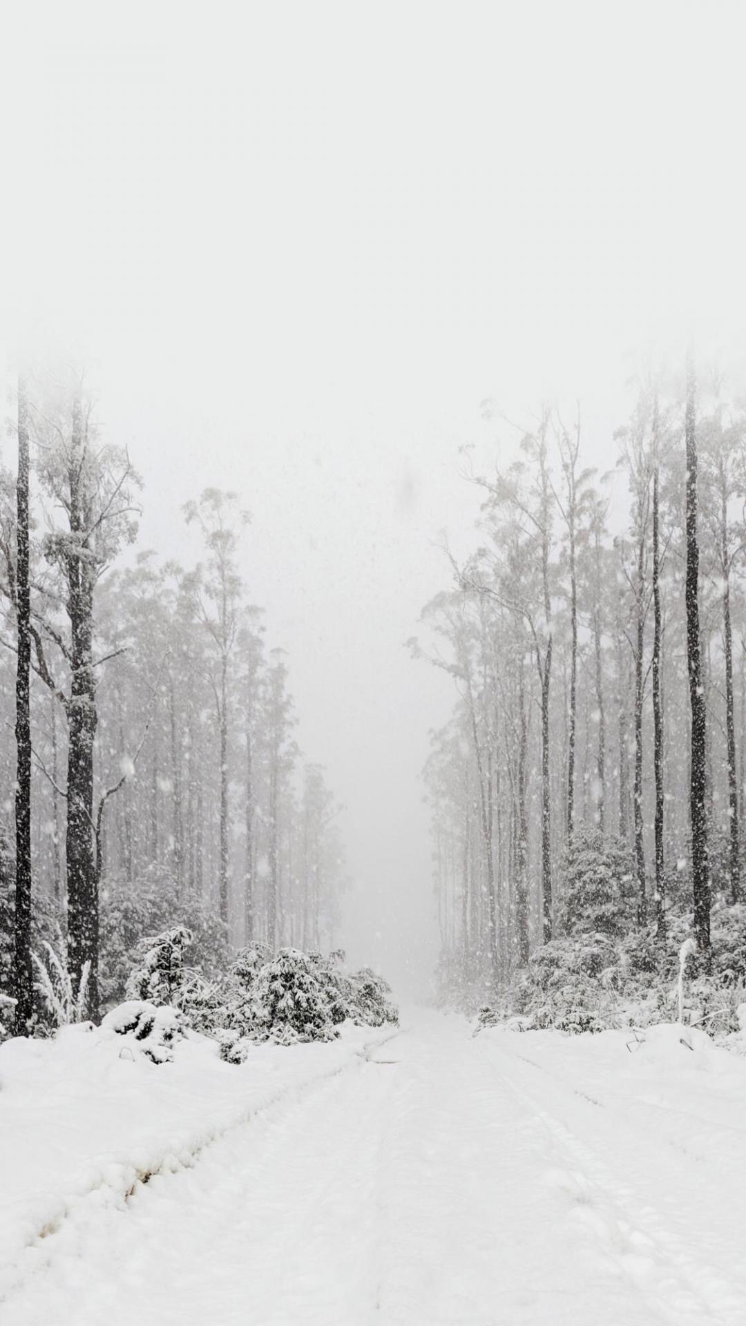 白雪皑皑的冬季唯美雪景