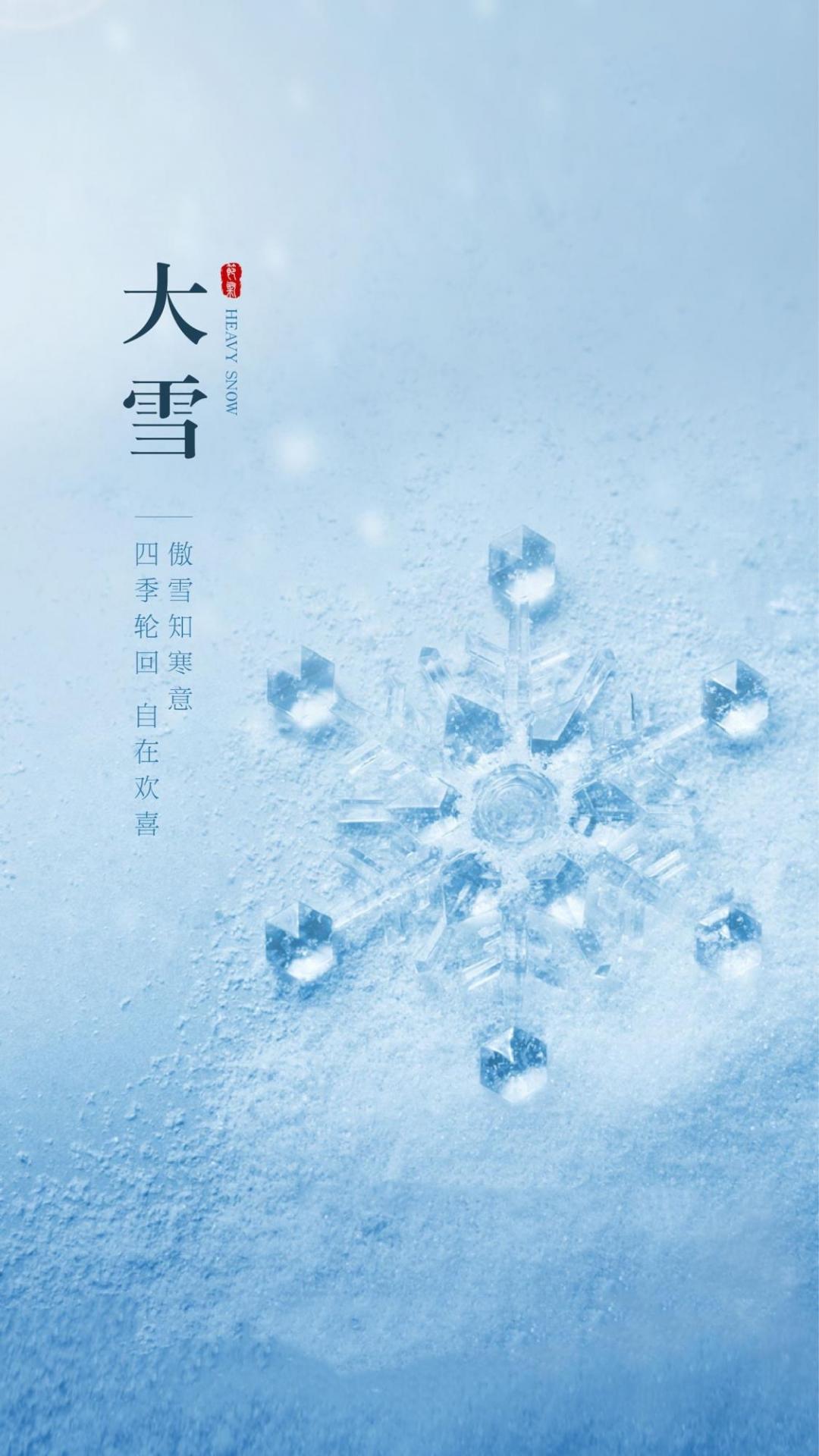 大雪时节的唯美雪花