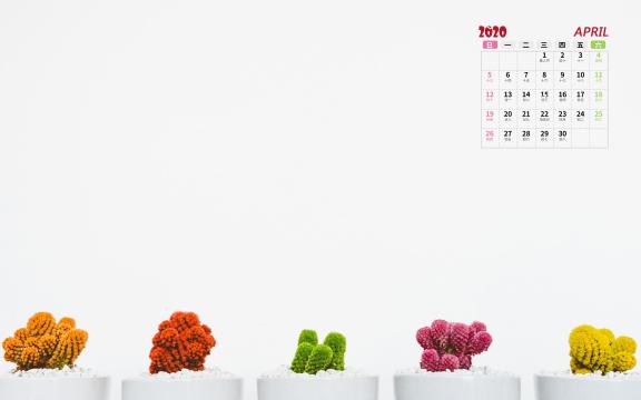 2020年4月小清新盆栽写真日历
