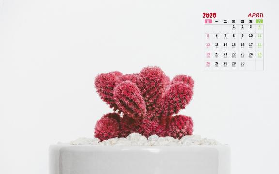 2020年4月小清新盆栽写真日历