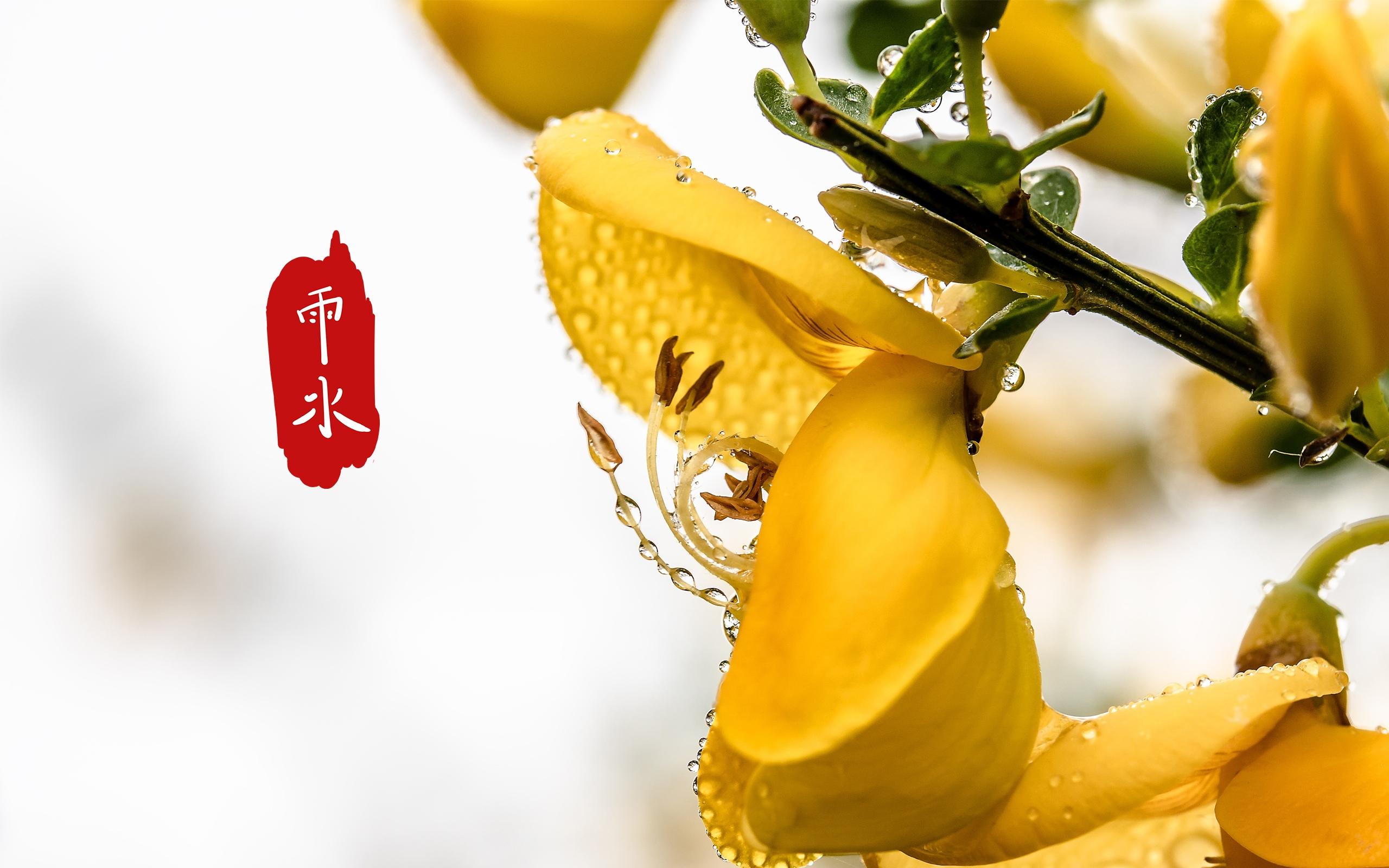 早春的景象,雨水到来