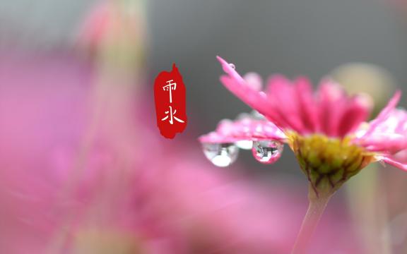 早春的景象,雨水到来