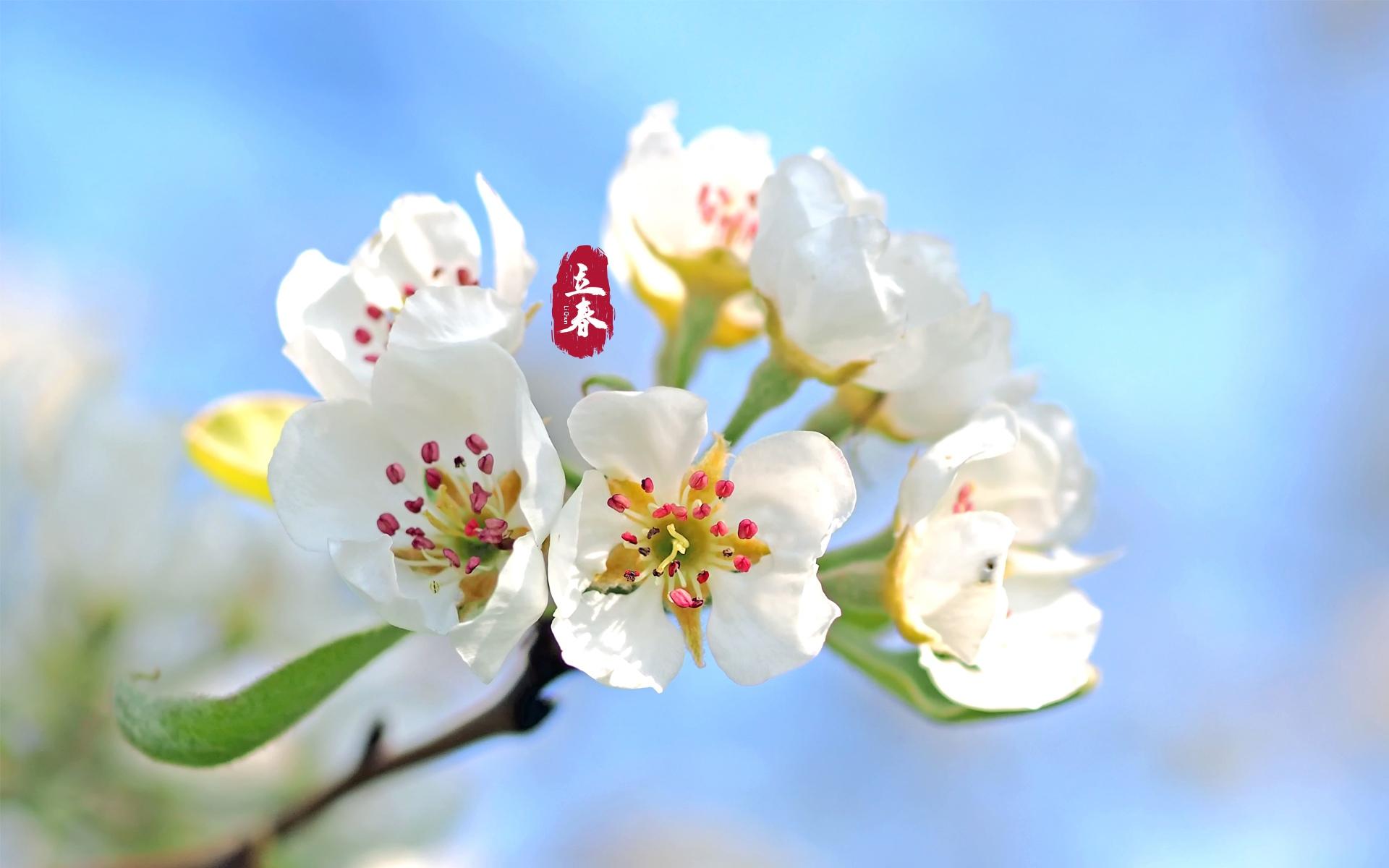 立春来到,春回大地