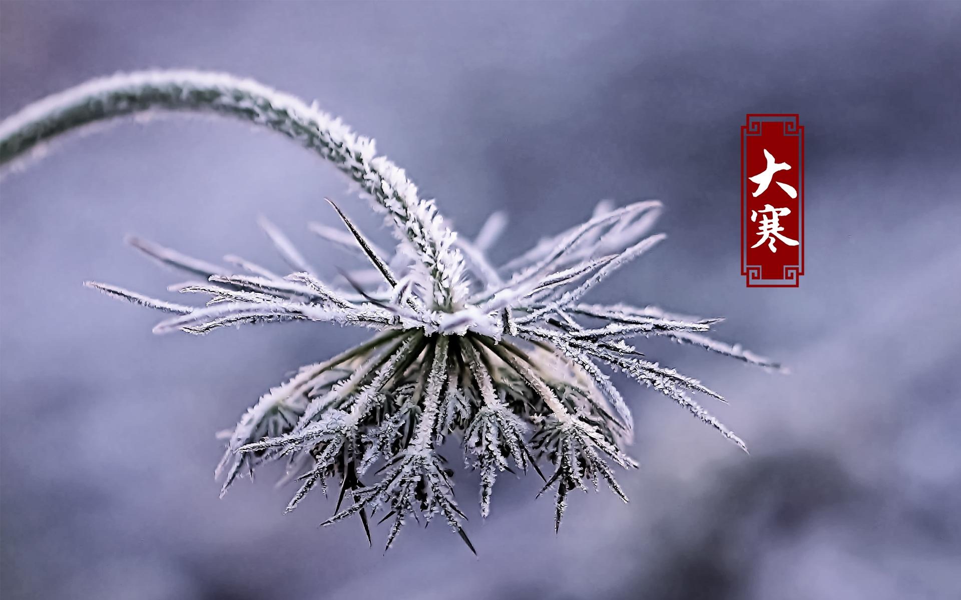 最美的二十四节气大寒