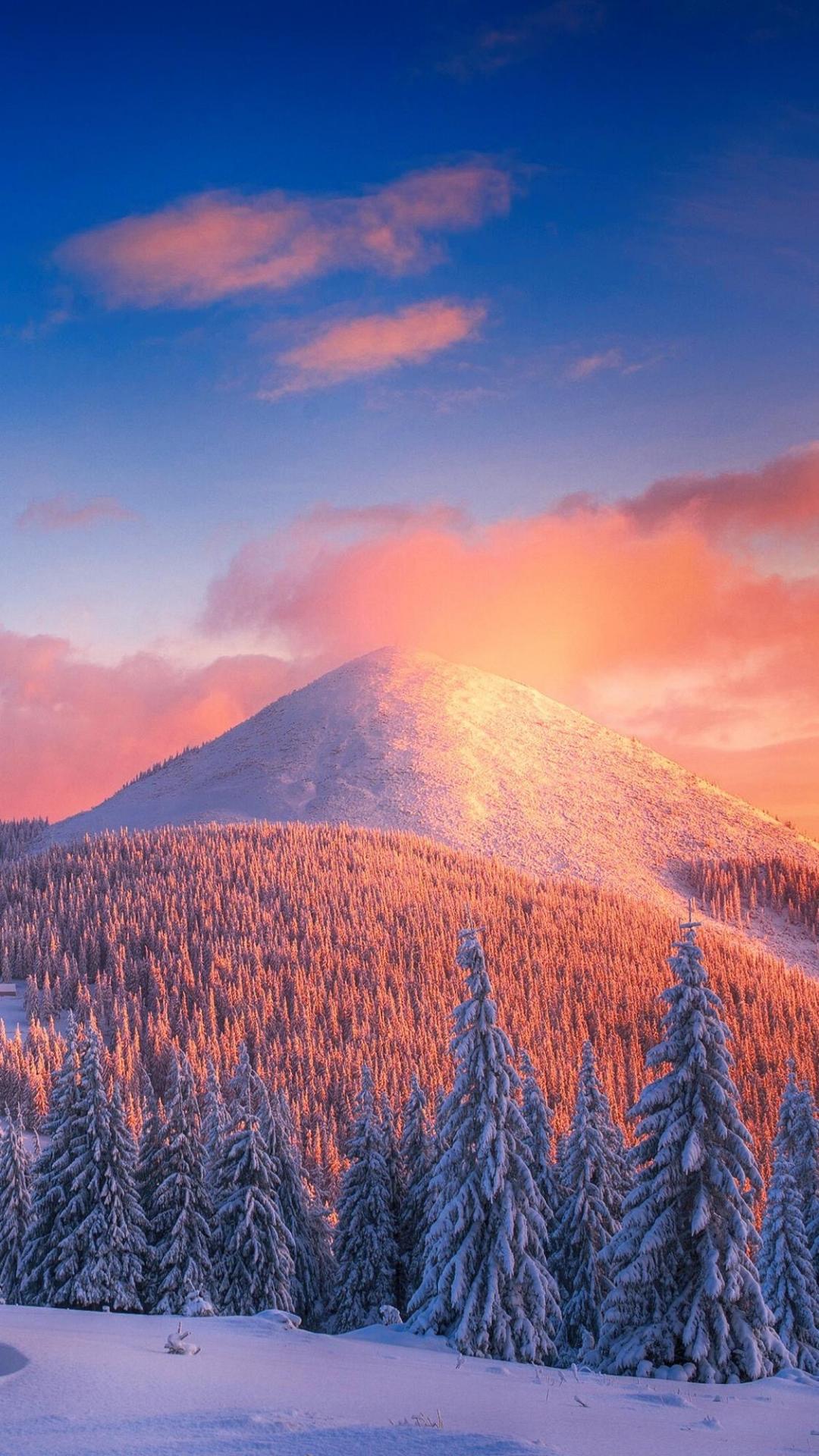冬天里的唯美雪景意境