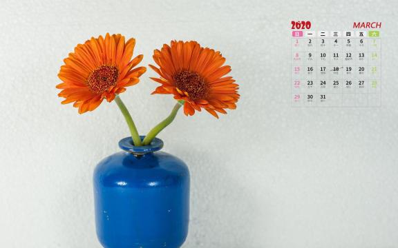 2020年3月简约花瓶写真日历