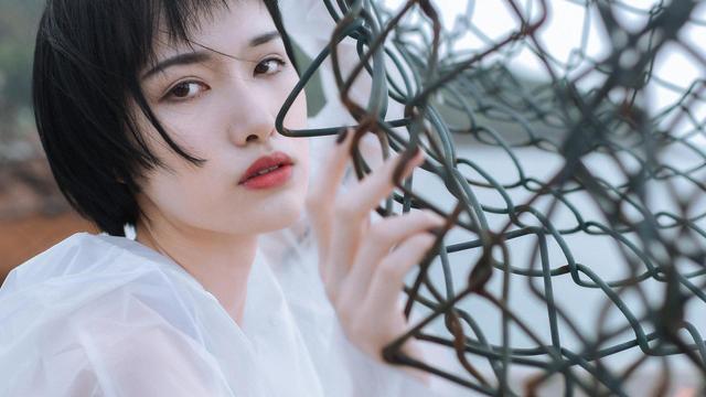 情有独钟,爱他入骨