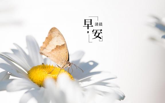 早安暖心问候语