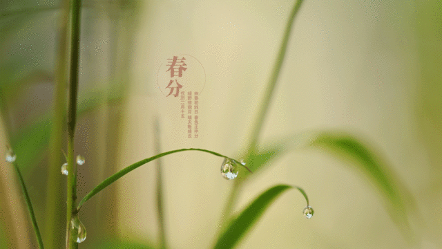 春暖到,春分时节来