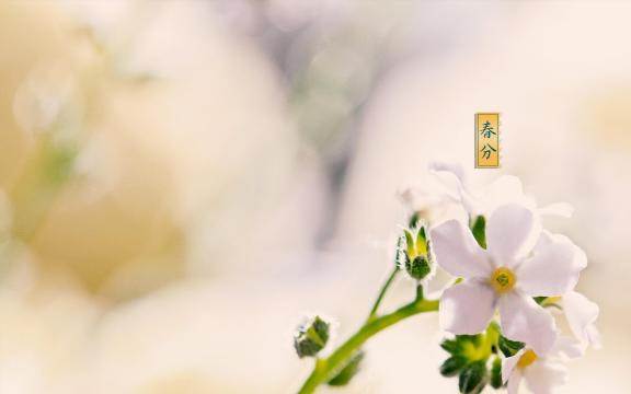 春分来了,万物回春