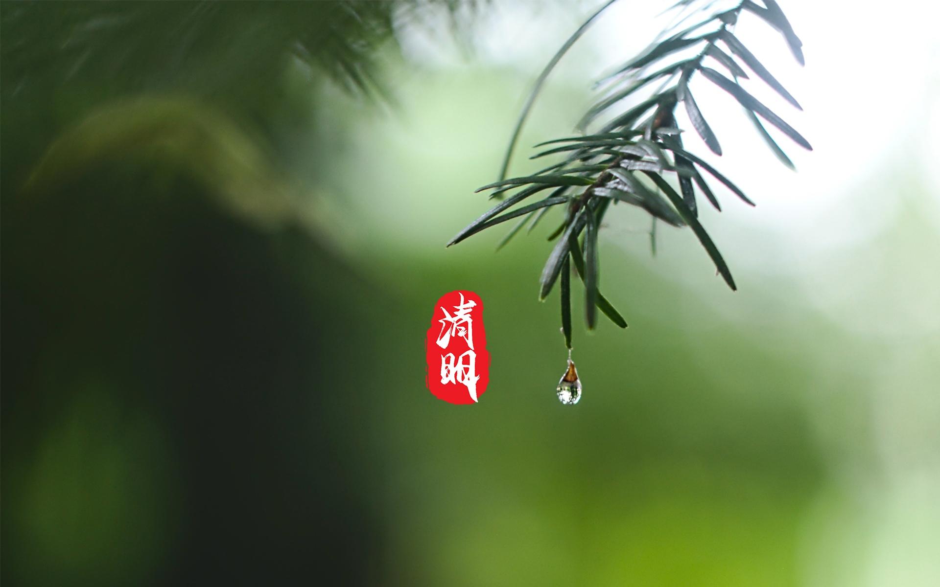 清明时节,雨纷纷