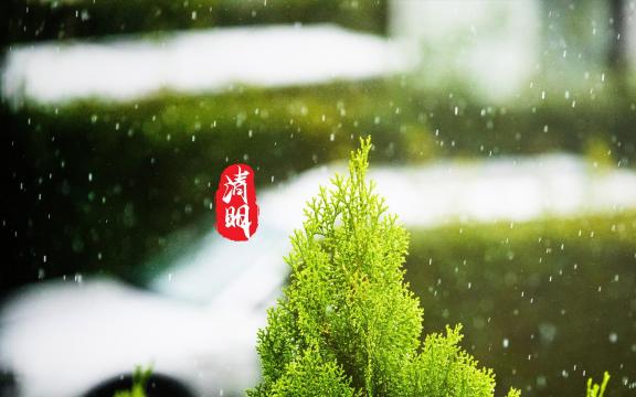 清明时节,雨纷纷