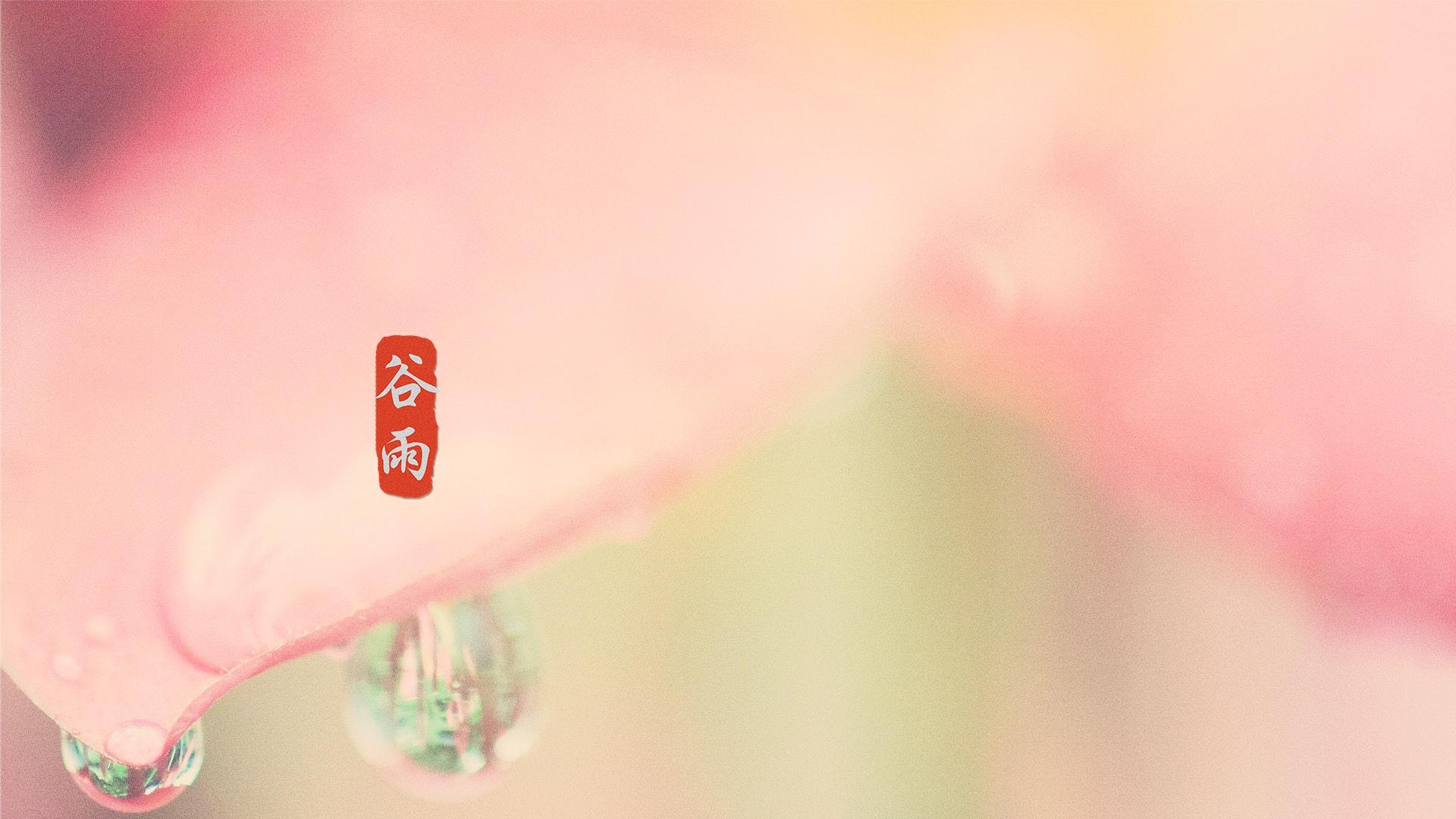 谷雨时节,绵绵细雨