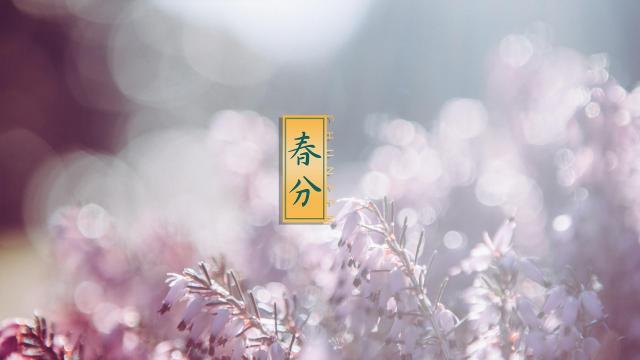 幸福时光,春分来到