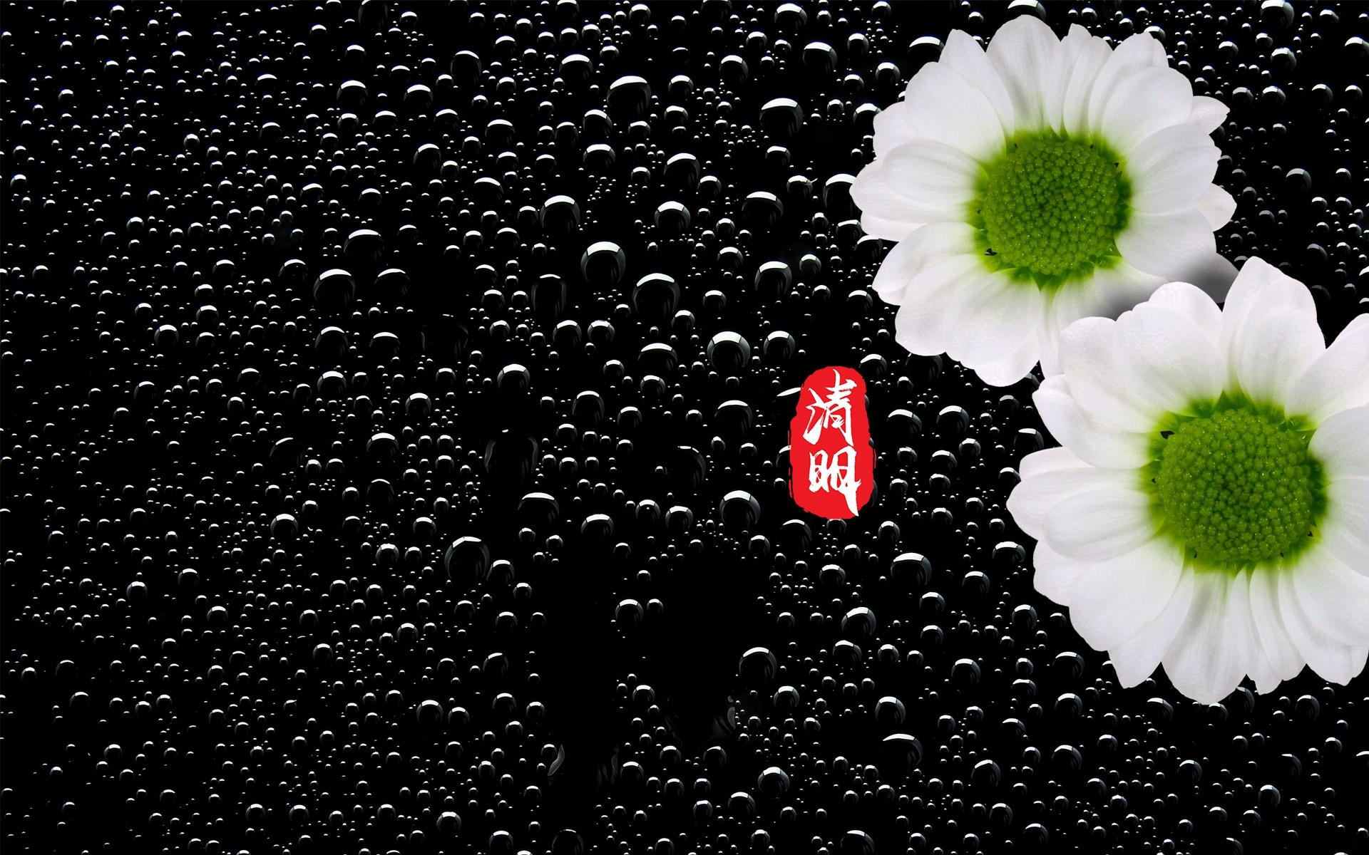 一年一年的清明到来了
