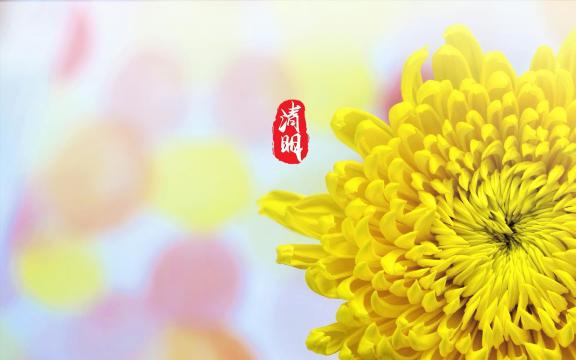 一年一年的清明到来了
