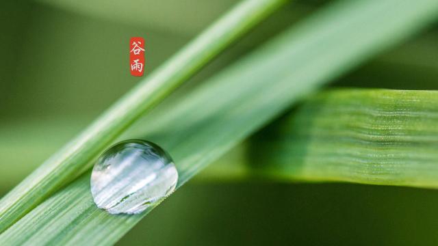 谷雨谷雨,雨水多了