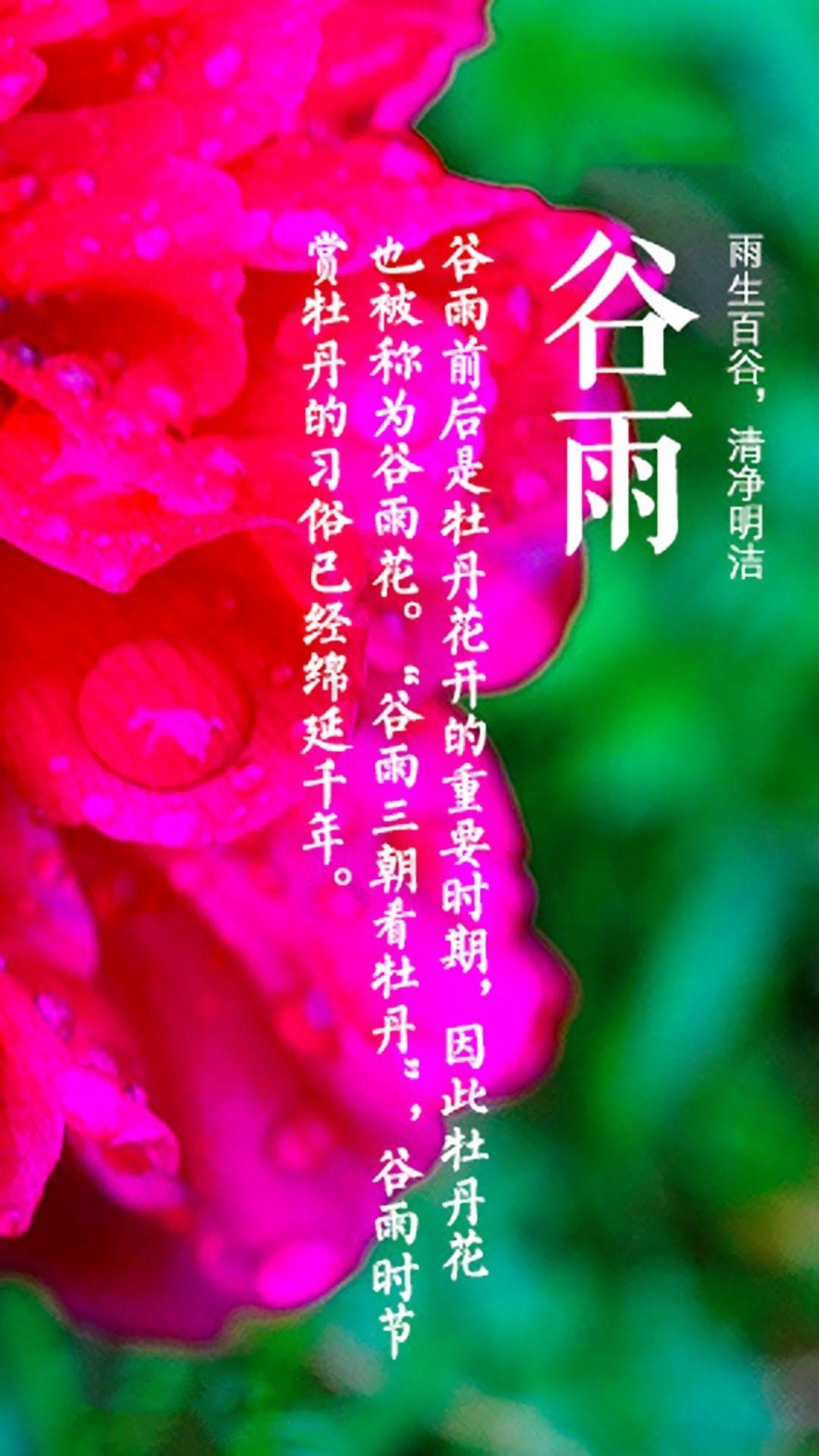 小清新谷雨时节到来